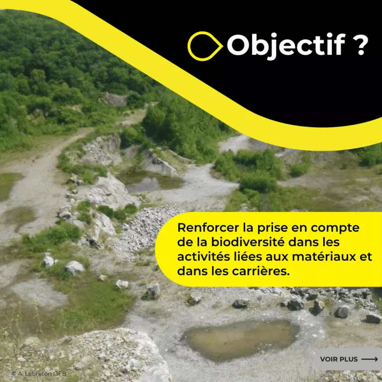 Renforcer la prise en compte de la biodiversité dans les activités liées aux matériaux et dans les carrières.