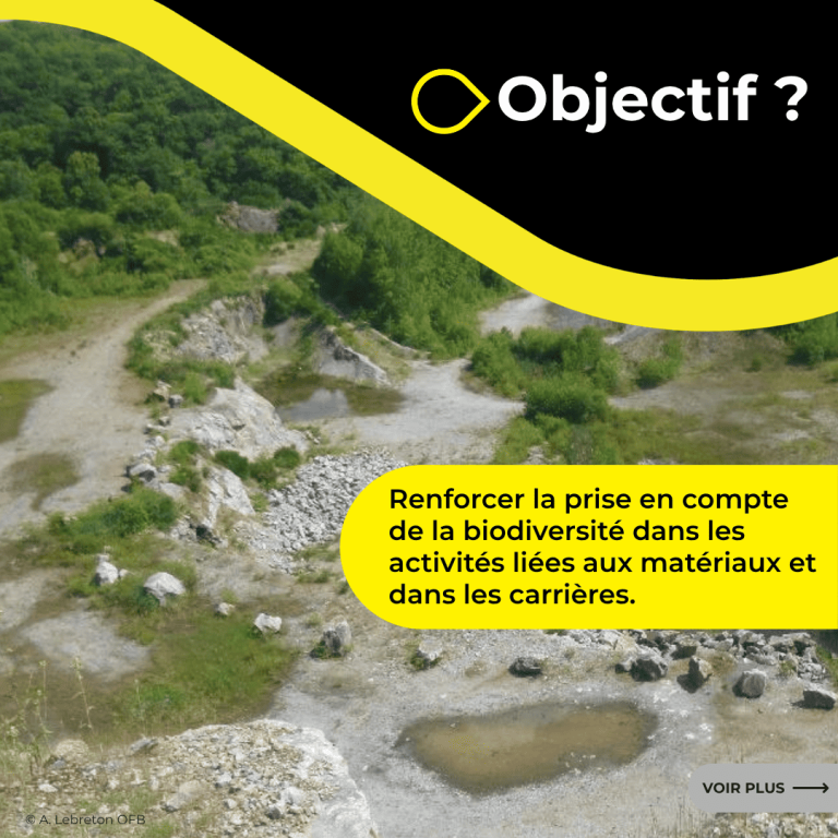 Renforcer la prise en compte de la biodiversité dans les activités liées aux matériaux et dans les carrières.