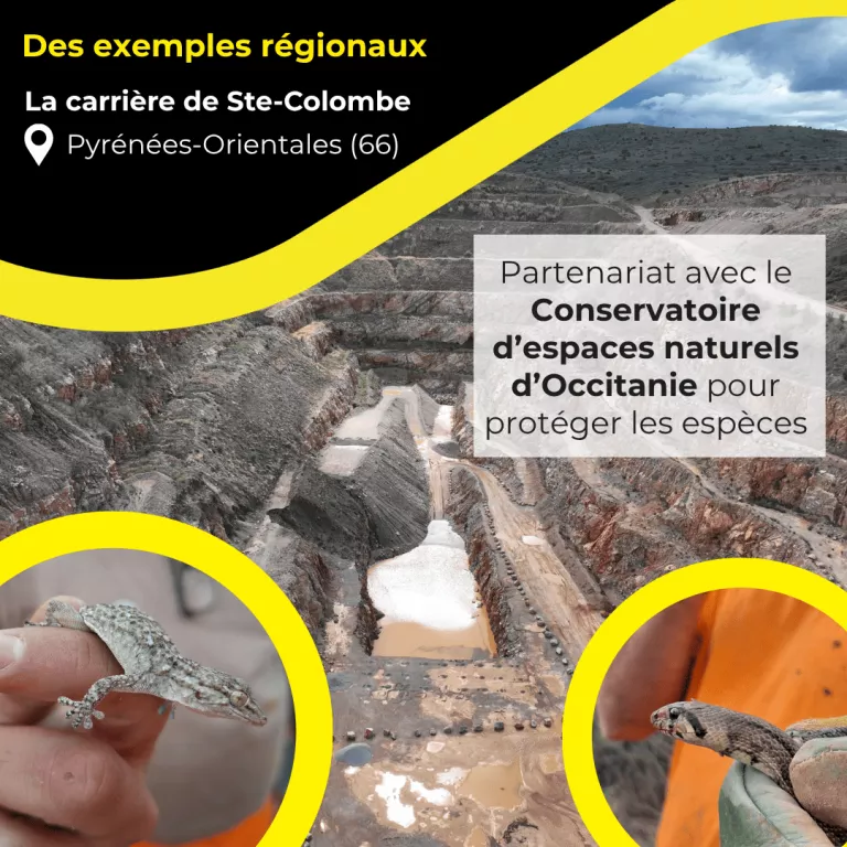 Partenariat avec le Conservatoire d’espaces naturels d’Occitanie pour protéger les espèces