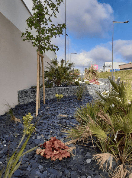 Paillage minéral en granulats d’ardoise avec structures en gabions, aménagement paysager esthétique et drainant.