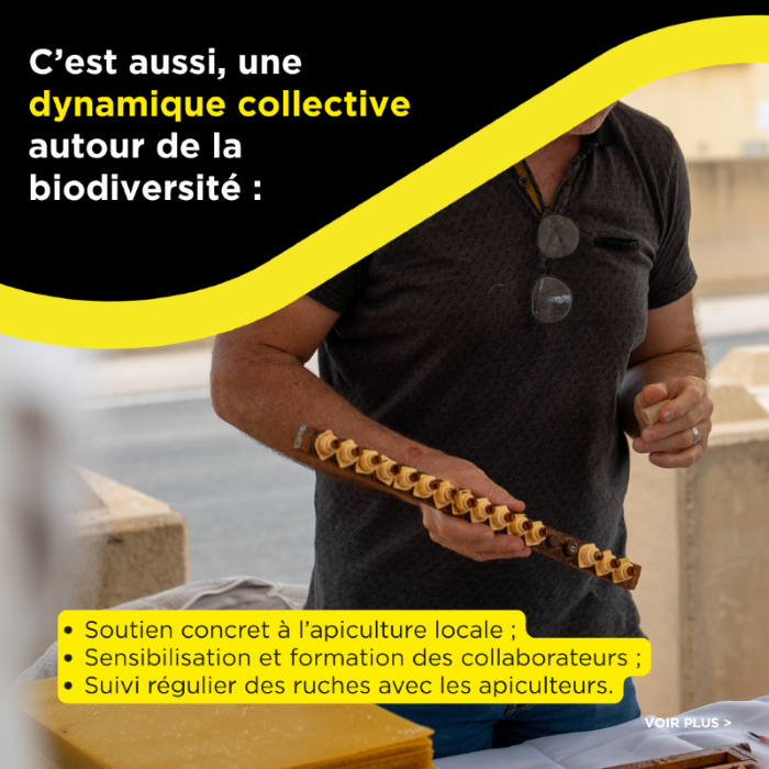 Intervention d’un apiculteur auprès des équipes Nexstone pour le suivi des ruches et la sensibilisation à la biodiversité en carrière.