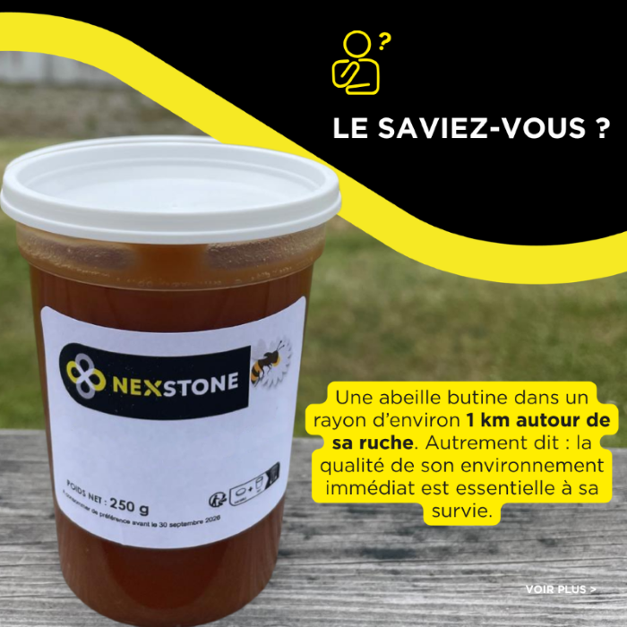 Miel produit par les abeilles présentes sur les carrières Nexstone, issu de la flore locale du Roussillon.