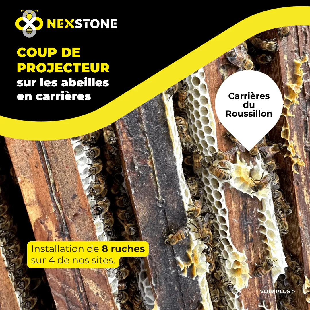 Installation de 8 ruches sur 4 de nos sites.