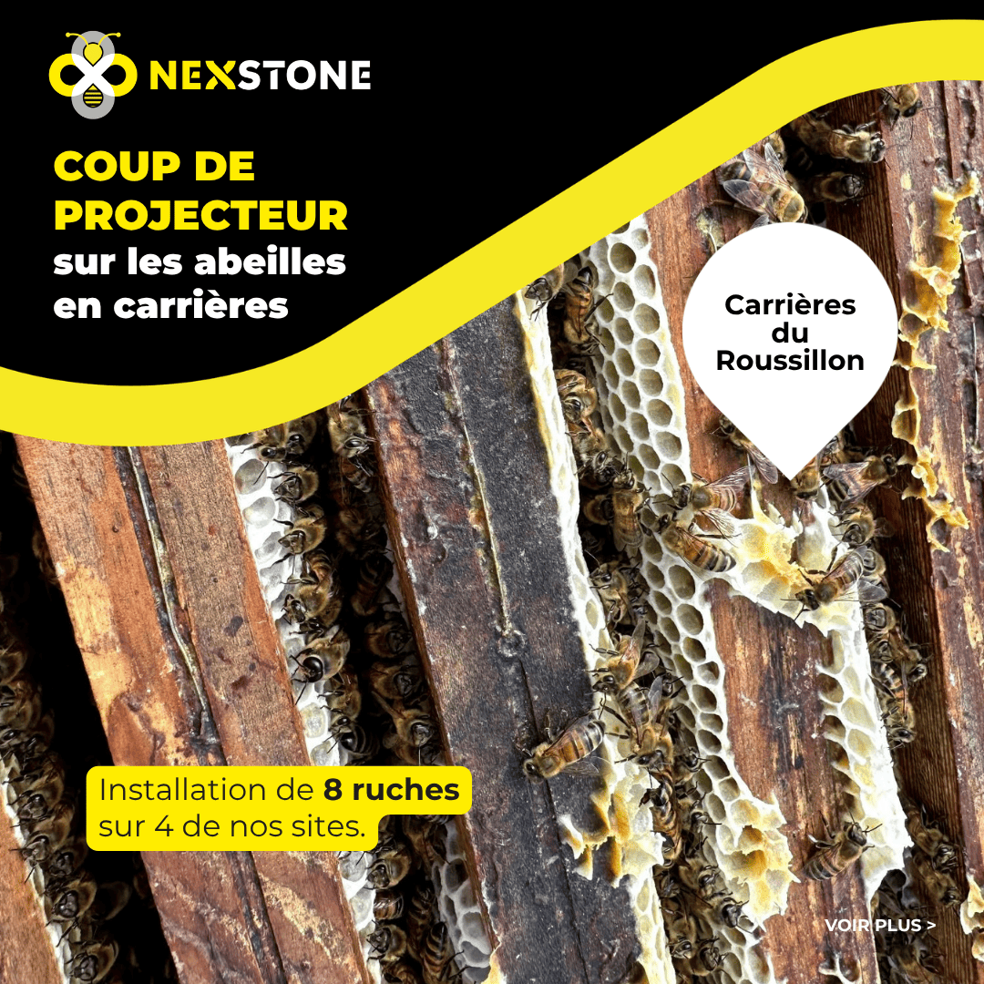 Installation de 8 ruches sur 4 de nos sites.