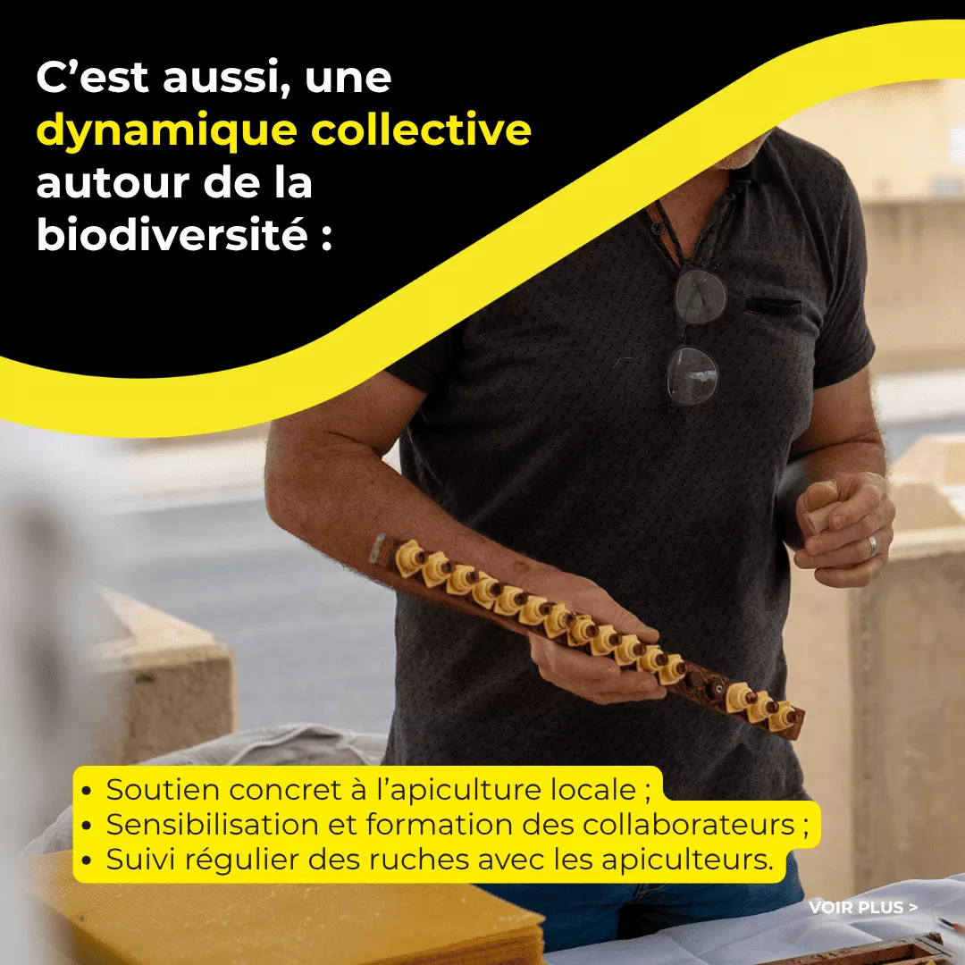 Soutien concret à l’apiculture locale ; Sensibilisation et formation des collaborateurs ; Suivi régulier des ruches avec les apiculteurs