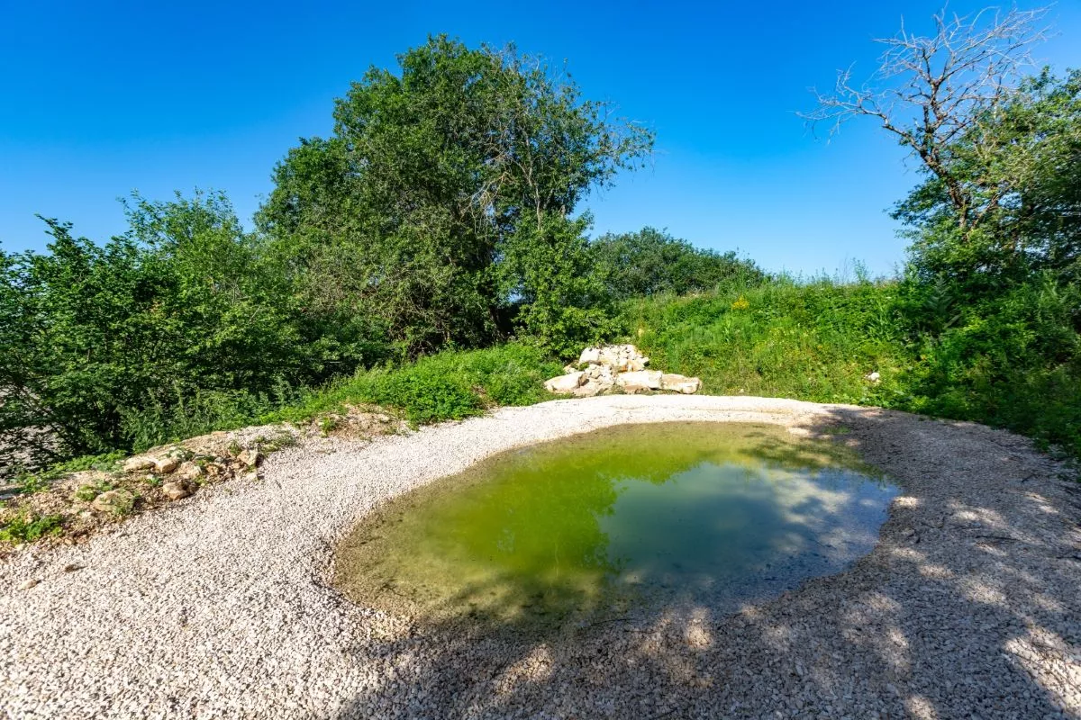 Mare aménagée pour les amphibiens à la carrière Nexstone de Sombacour dans le Doubs, bordée de pierres et de végétation.