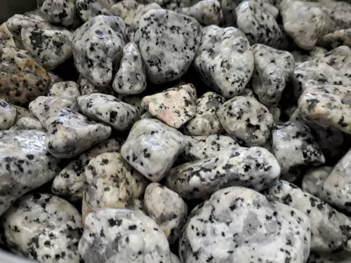 Galets en granit gris moucheté pour aménagement paysager