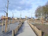Jardin du Rail Nantes - Aménagement d’un chemin piéton en gravier au cœur d’un écoquartier en construction, avec plantations d’arbres, bordures en bois et infrastructures urbaines en arrière-plan.