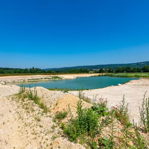 Illustration of La carrière d'Osselle : un refuge pour la biodiversité au cœur du Doubs